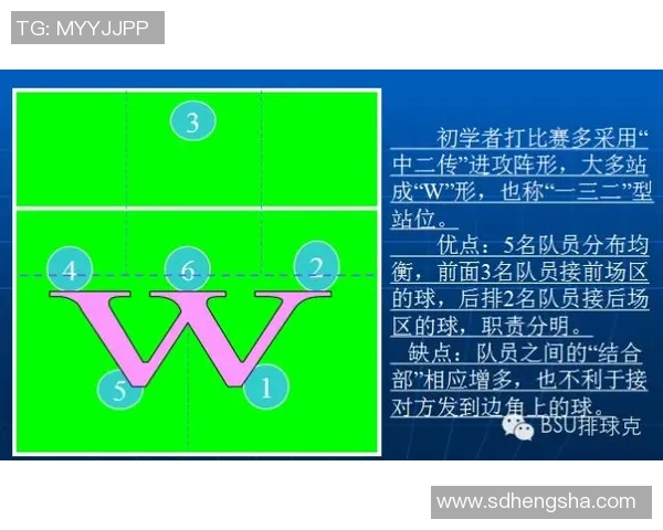 重庆排球队的转换打法深度分析与战术创新探讨